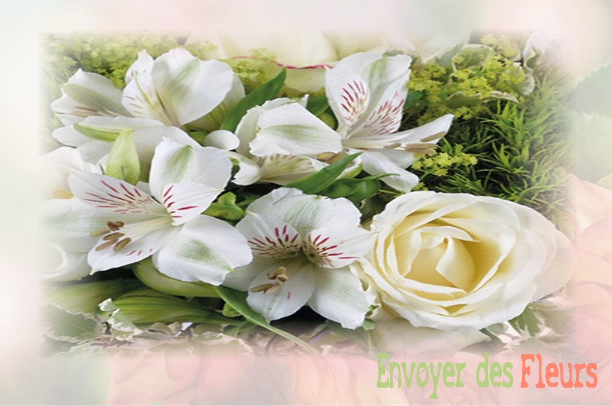 envoyer des fleurs à à SAINT-ETIENNE-DU-ROUVRAY